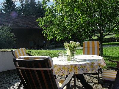 Holiday apartment Alter Ledererhof - Outdoor photo 3