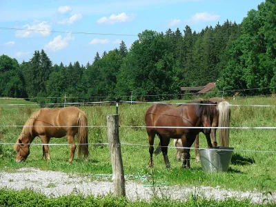 Holiday apartment Alter Ledererhof - Environment photo 13