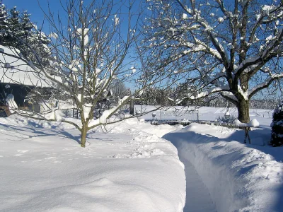 Holiday apartment Alter Ledererhof - Environment photo 17