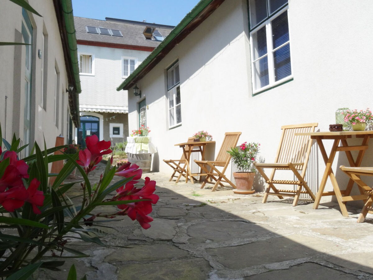 Holiday apartment 4 Weingut Hauerhof 99 - Outdoor photo 4