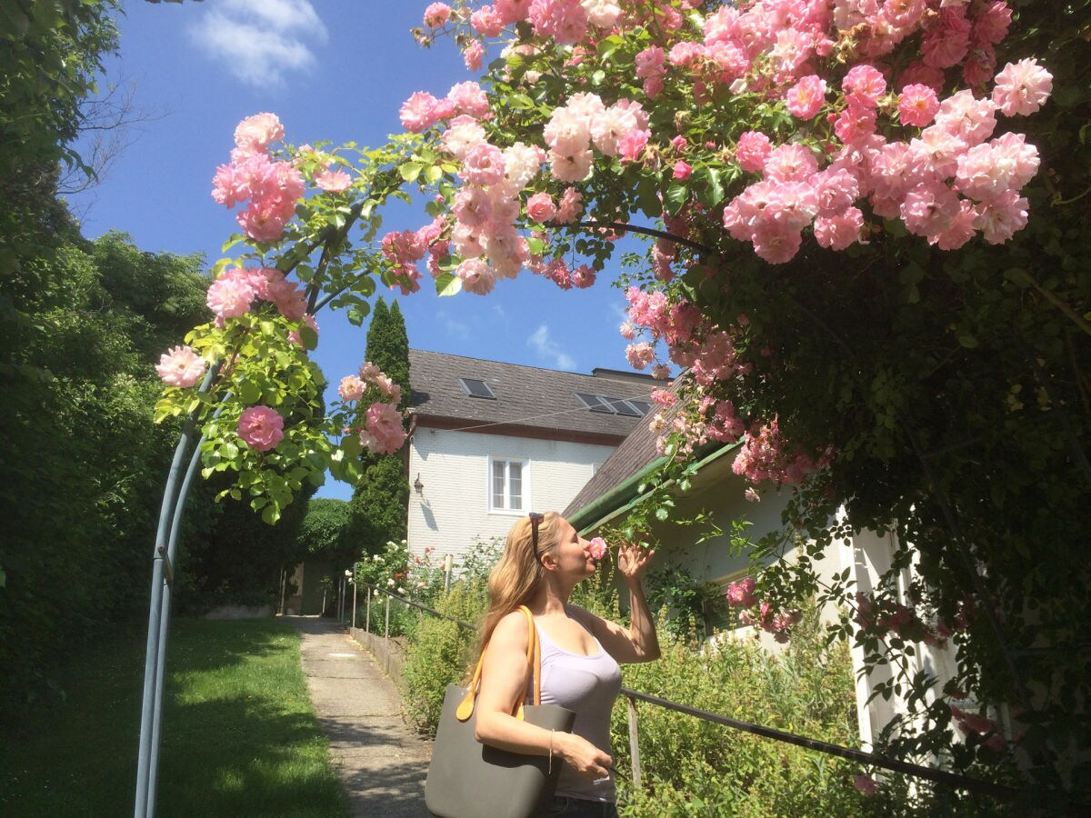 Holiday apartment 4 Weingut Hauerhof 99 - Outdoor photo 5