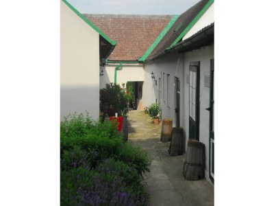 Holiday apartment 4 Weingut Hauerhof 99 - Outdoor photo 3