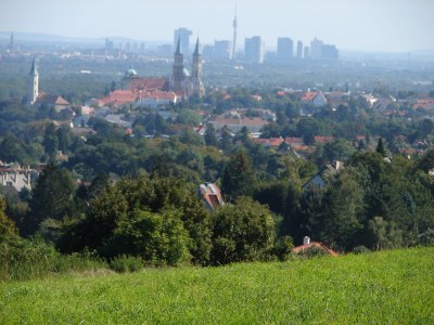 Holiday apartment 4 Weingut Hauerhof 99 - Environment photo 11