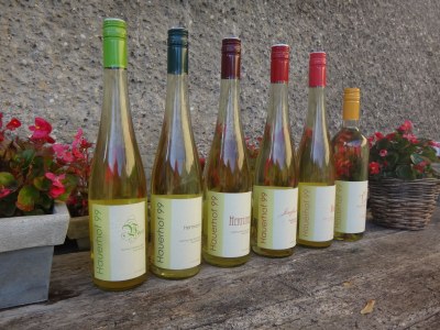 Holiday apartment 4 Weingut Hauerhof 99 - Environment photo 17