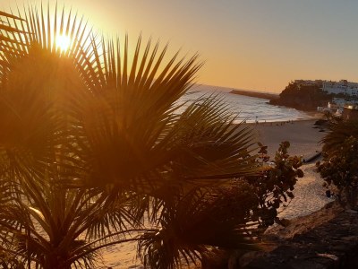 Holiday house Villa Amélie - Environment photo 35