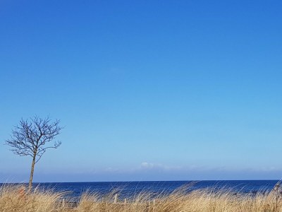 Holiday apartment Ausguck Beach Hotel - Environment photo 32