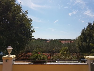 Holiday house Milka - Outdoor photo 6