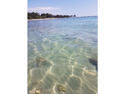 Holiday house Milka - Environment photo 28