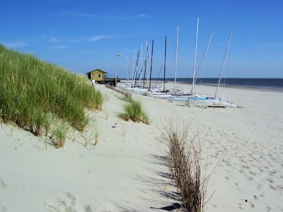 Holiday house Ferienhaus mit eigenem Garten am Meer - Environment photo 18