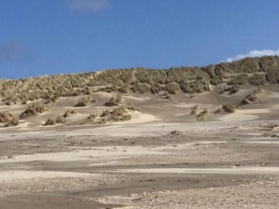 Holiday house Ferienhaus mit eigenem Garten am Meer - Environment photo 20