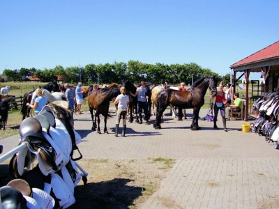 Holiday house Ferienhaus mit eigenem Garten am Meer - Environment photo 21