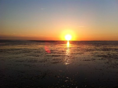 Holiday house Ferienhaus mit eigenem Garten am Meer - Environment photo 22