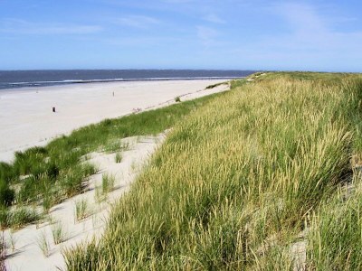 Holiday house Ferienhaus mit eigenem Garten am Meer - Environment photo 23