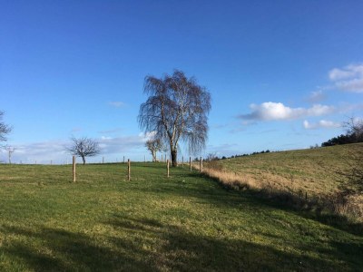 Holiday house 16 Personen Ferienhaus in Vejby - Outdoor photo 9