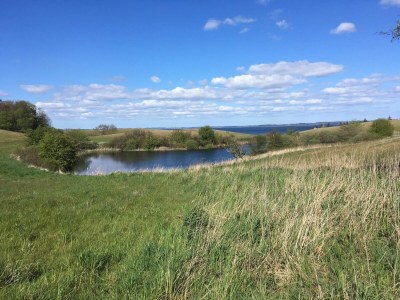 Holiday house 16 Personen Ferienhaus in Vejby - Outdoor photo 18
