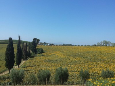 Holiday house Rustikaler Charme, moderner Komfort - Outdoor photo 6