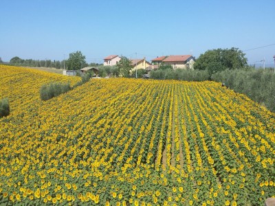 Holiday house Rustikaler Charme, moderner Komfort - Environment photo 29