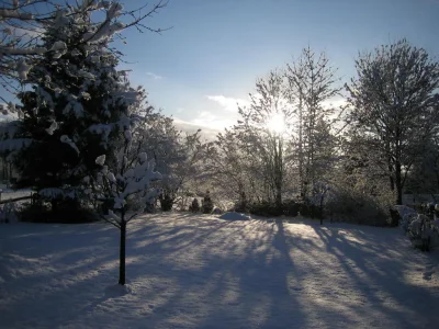 Holiday apartment Haus Gabriele - Outdoor photo 5