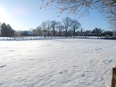 Holiday apartment Haus Gabriele - Outdoor photo 6