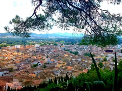 Finca Xiclati 12 - Environment photo 50