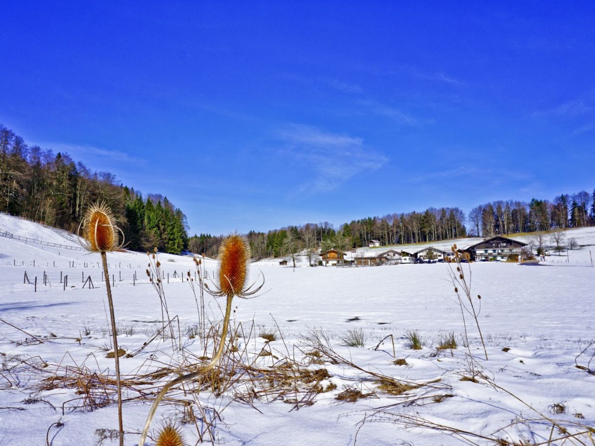 Holiday apartment Kampenwandblick - Outdoor photo 3