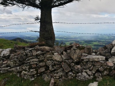 Holiday apartment Kampenwandblick - Environment photo 15