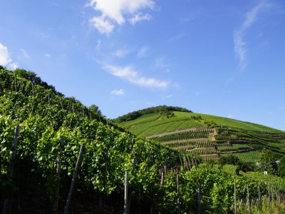 Holiday apartment Bel étage - Environment photo 25