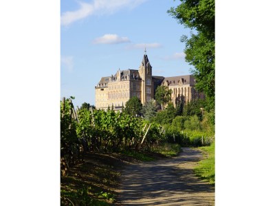 Holiday apartment Bel étage - Environment photo 28