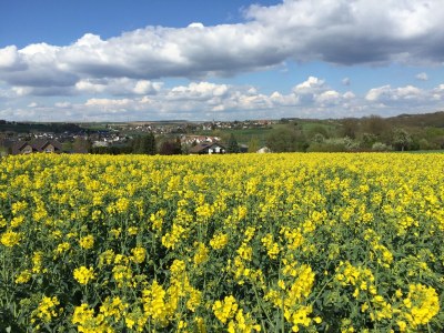 Holiday apartment Bel étage - Environment photo 31