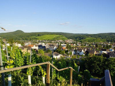 Holiday apartment Bel étage - Environment photo 32