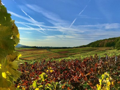 Holiday apartment Bel étage - Environment photo 33