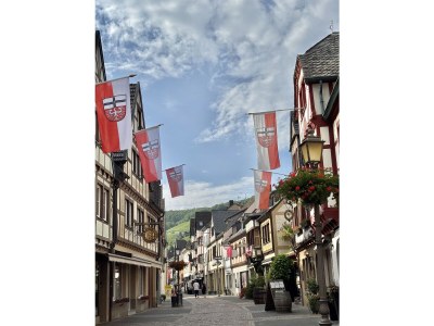 Holiday apartment Bel étage - Environment photo 35