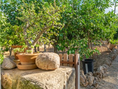 Villa Finca Son Matginet 18 - Outdoor photo 20