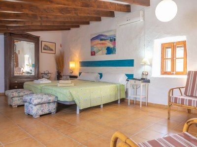 Villa Finca Son Matginet 18 - Features photo 40