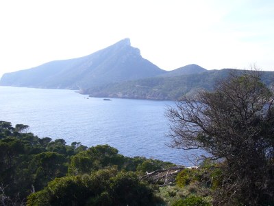 Villa Oliva / Costa de la Calma - Environment photo 25