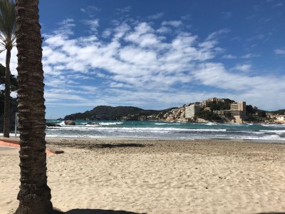 Villa Oliva / Costa de la Calma - Environment photo 27