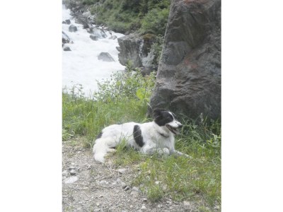 Holiday apartment Haus Margret - Environment photo 33