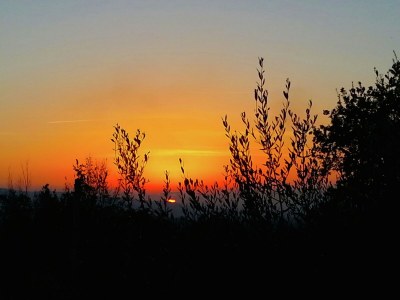 Holiday house Ferienhaus in Assisi mit beheiztem Pool - Outdoor photo 5