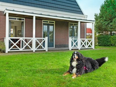 Holiday house Tulp & Zee - Outdoor photo 2