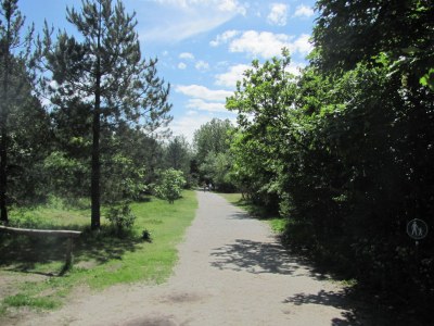 Holiday house Tulp & Zee - Environment photo 18