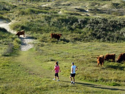 Holiday house Tulp & Zee - Environment photo 20