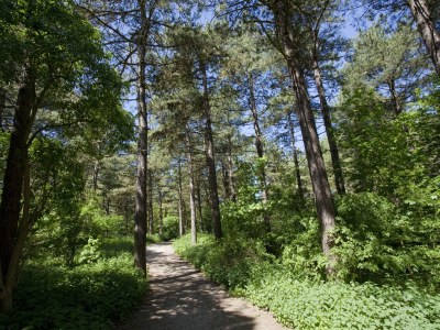 Holiday house Tulp & Zee - Environment photo 19