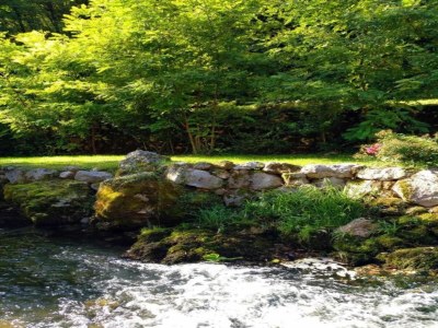 Castle Castle in Veneto with Garden & History - Environment photo 28