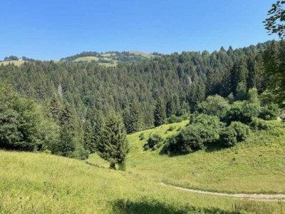 Castle Castle in Veneto with Garden & History - Environment photo 29