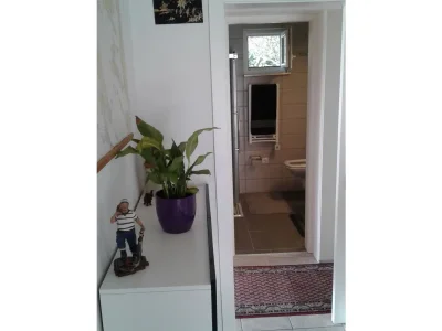 Holiday house Sunshine - Features photo 17