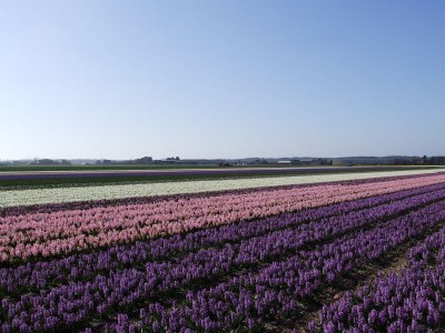 Holiday house Dune Nest - Environment photo 21