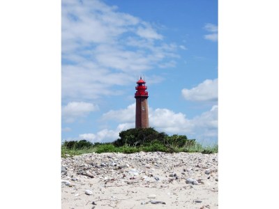 Holiday apartment Ferienwohnung im Ferienhof Höper - Environment photo 16