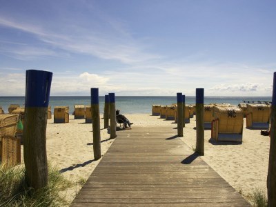 Holiday apartment Ferienwohnung im Ferienhof Höper - Environment photo 18