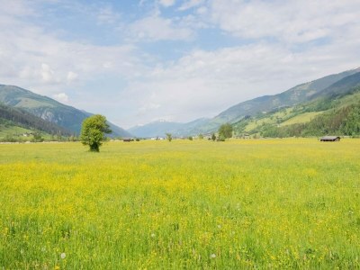 Holiday house Chalet in Niedernsill nahe Skipisten - Environment photo 29