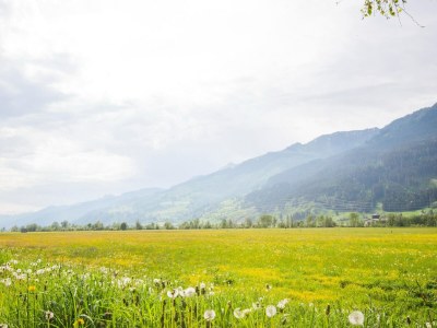 Holiday house Chalet in Niedernsill nahe Skipisten - Environment photo 30
